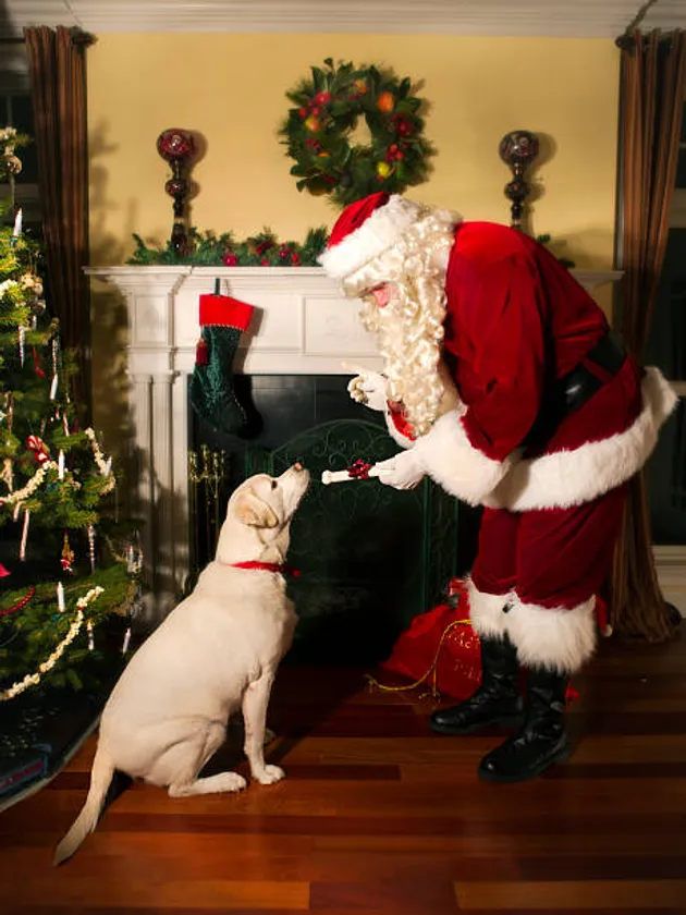 わんちゃんにもプレゼント