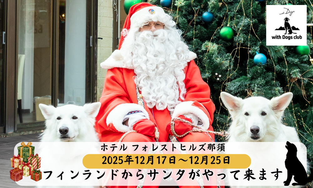 【日本初※！】with Dogs club(ウィズドッグスクラブ)からのクリスマスサプライズ！ホテル フォレストヒルズ那須に、フィンランドから“本物のサンタさん”がプレゼントを持ってお部屋にやってくる！