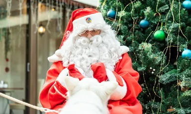 わんちゃんも喜ぶイベント