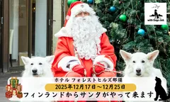 本物のサンタクロースがやって来ます