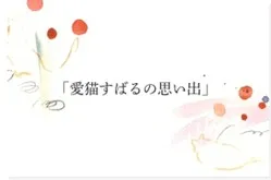 愛猫すばるの思い出