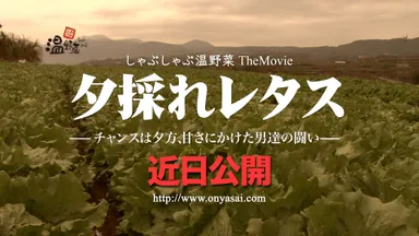 夕採れレタス予告編
