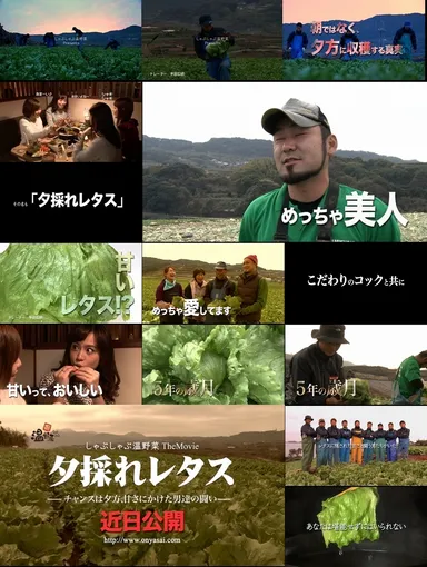 Onyasai TheMovie 夕採れレタス