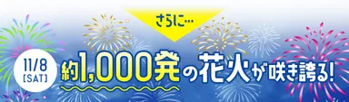 11月8日(土)には花火も開催