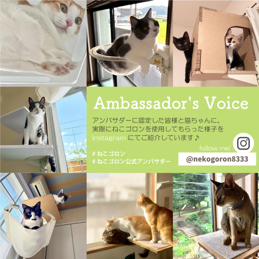 Instagramをチェック