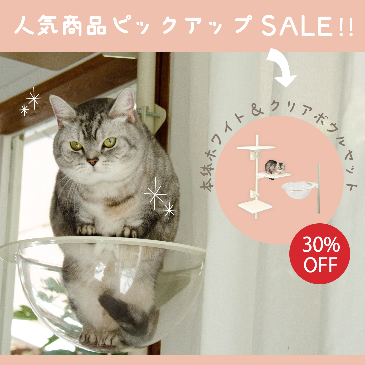 窓枠につけるキャットタワー！「ねこゴロン」シリーズ 売れ筋商品が30 