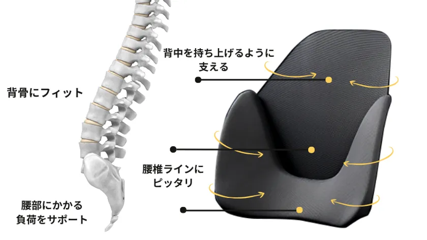 スゴい腰レザー構造