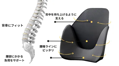 スゴい腰レザー構造