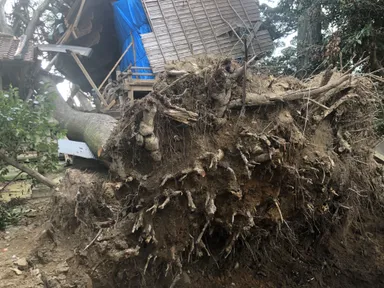 台風での被害