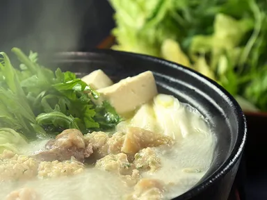 極　博多水炊きセット１