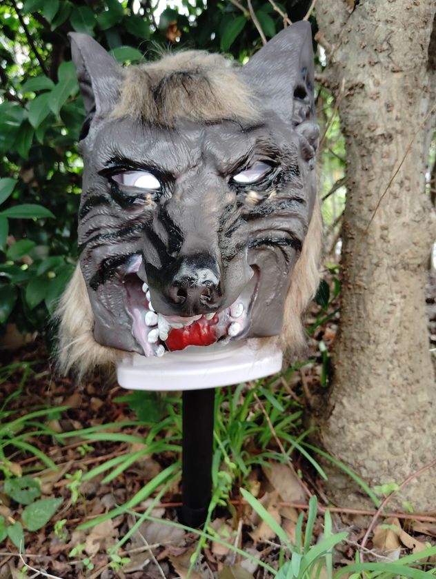 猛獣ブロック 設置正面