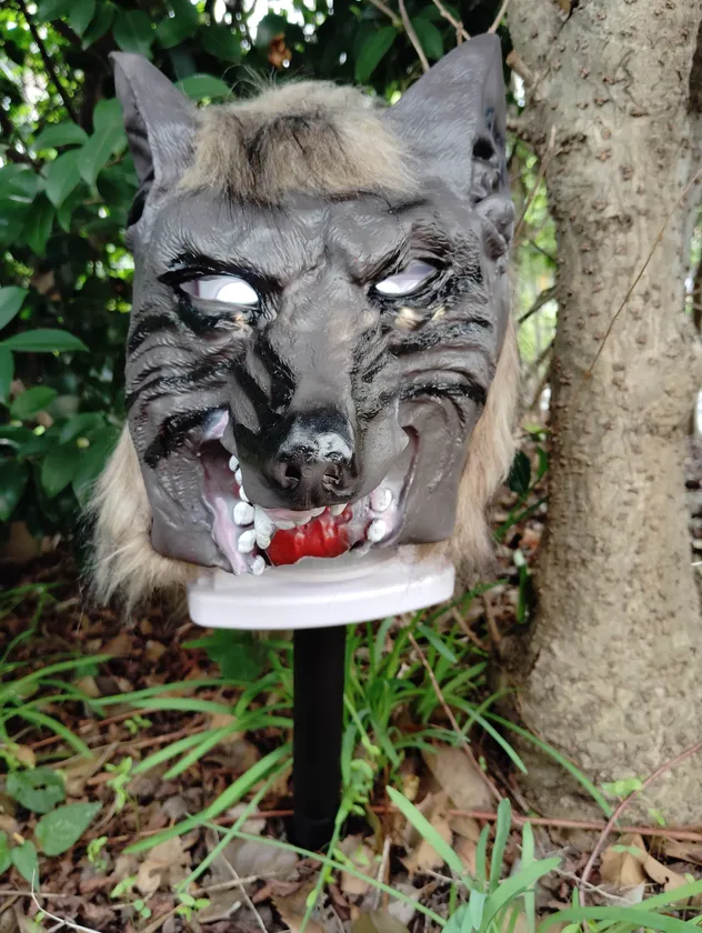 猛獣ブロック 設置正面