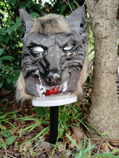 猛獣ブロック 設置正面