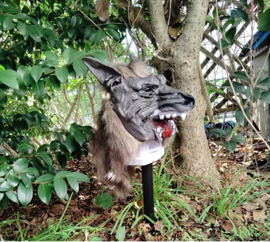 猛獣ブロック 設置斜め横