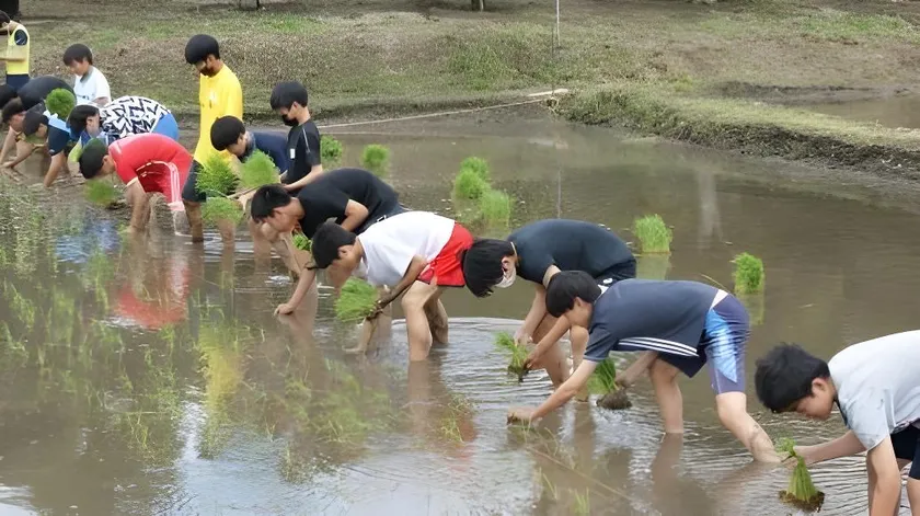 【お米のまきの】稲作体験福袋 イメージ