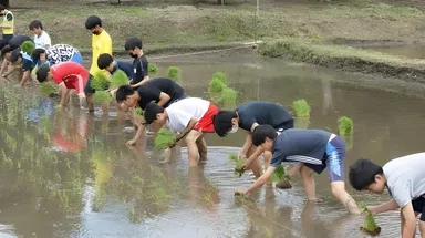 【お米のまきの】稲作体験福袋　イメージ