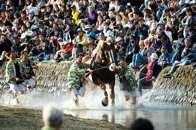 客席の前を神馬・飾馬が疾走
