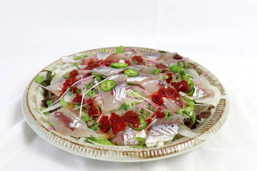 カマスの猛毒パッチョ