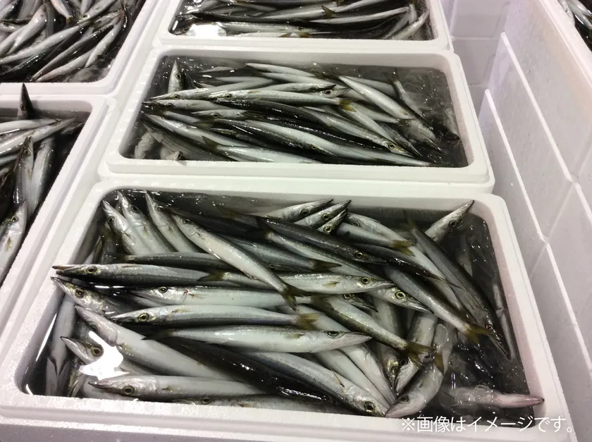 鮮魚詰め放題