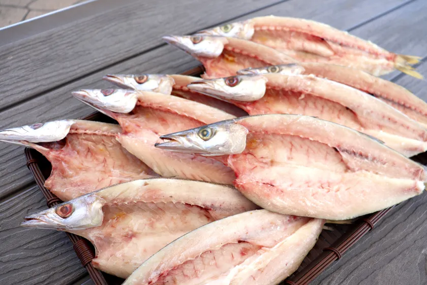 特大カマスの開き