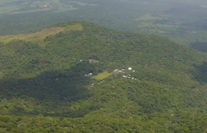 エルサルバドルのコーヒー農園