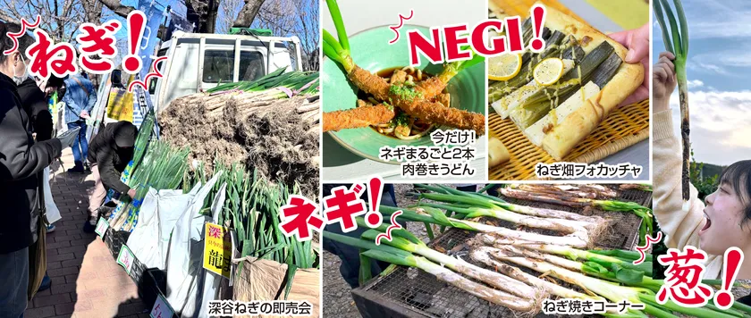 ~限定メニューで美味しさ新発見!深谷ねぎ「即売会」に、焼く・食べるの「ねぎ焼きコーナー」も~