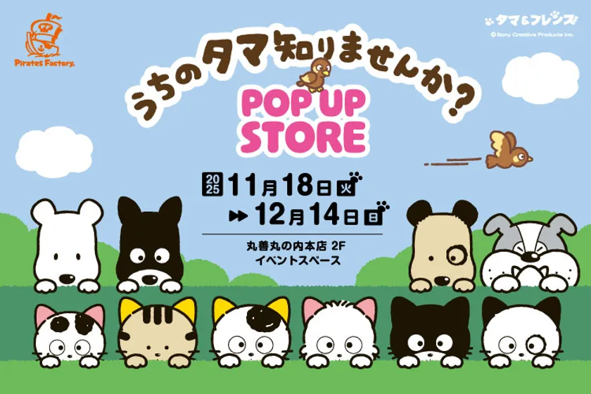 「タマ&フレンズ POP UP STORE」キーアート