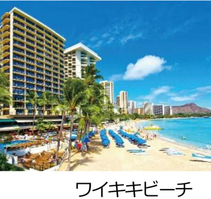 海外・個人旅行ブランド「e-very（イーベリー）」
25周年記念
感謝を込めた記念旅行商品を発売
旅行グッズが当たるSNSキャンペーンも実施