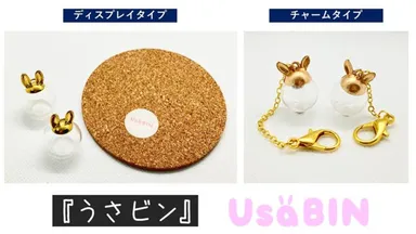 うさビン　Makuakeでプロジェクト実施中