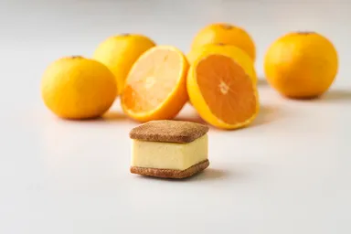 まるごと有田みかん