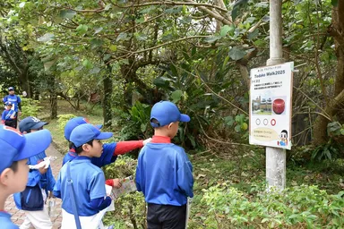 ウォーキング風景
