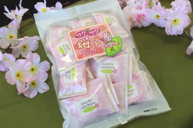 サクサク桜子ちゃん2