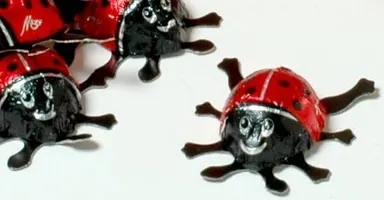 てんとう虫チョコレート