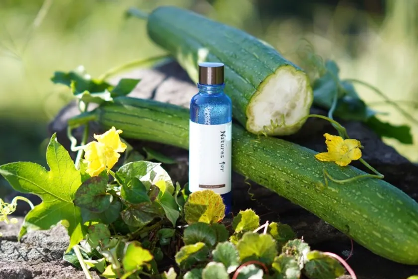 リニューアルしたヒーリングローション