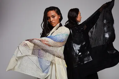 特別記念アイテム［プレインコーニスストール］登録意匠