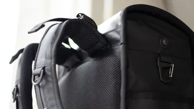 ショルダーハーネス、背中