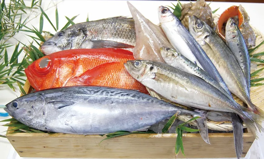 前どれ鮮魚