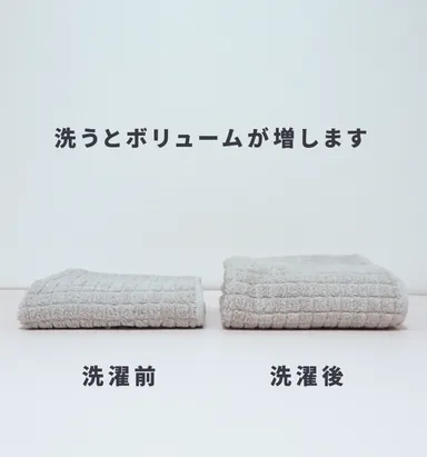 洗濯後はパイルが立ちふっくら