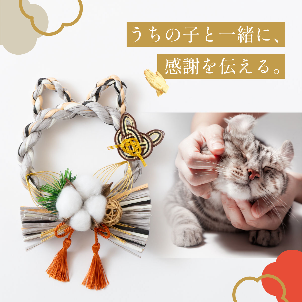 昨年末に即完売した猫型しめ縄『しめニャわ』が 猫の日2月22日に再販