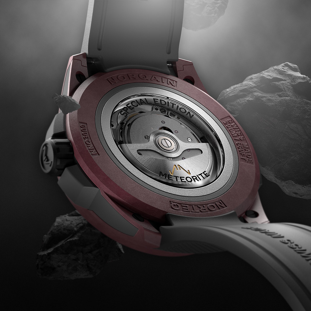 ワイルド ワン メテオライト着用イメージ