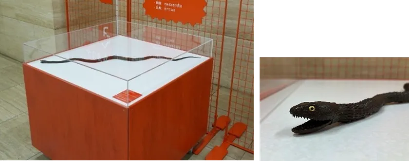 【展示台1】動態展示台