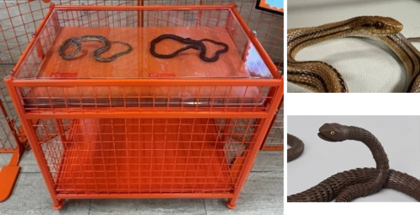 【展示台2】レプリカ展示台