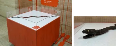 【展示台1】動態展示台