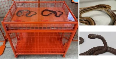 【展示台2】レプリカ展示台