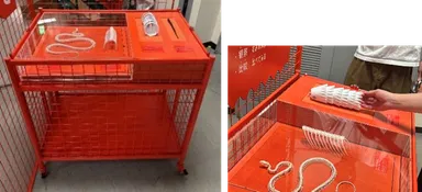 【展示台3】骨格標本とハンズオン