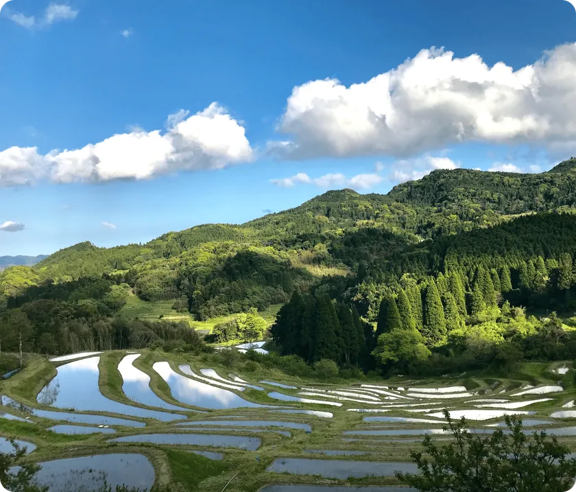 大山千枚田保存会