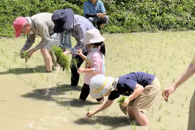 大山千枚田保存会