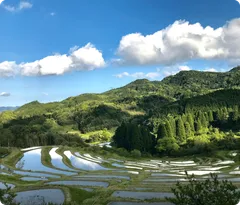 大山千枚田保存会