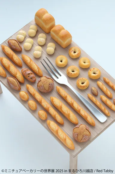 展示作品：Red Tabby(1)