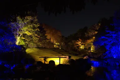 ライトアップの様子